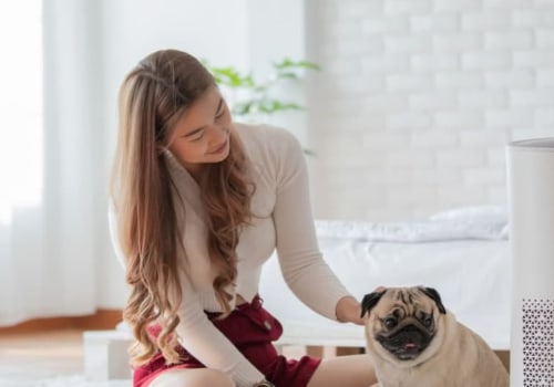 Boost Efficiency and Cut Costs With a New 20x20x2 Air Filter